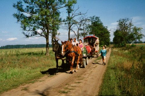 HORSE-DRAWN TOURING