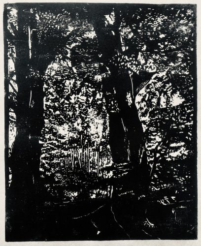 Dorset trees